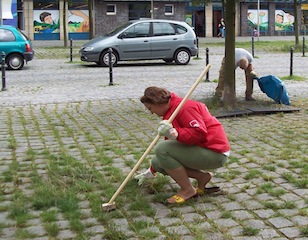 unsere Kandidatin beim Putzen